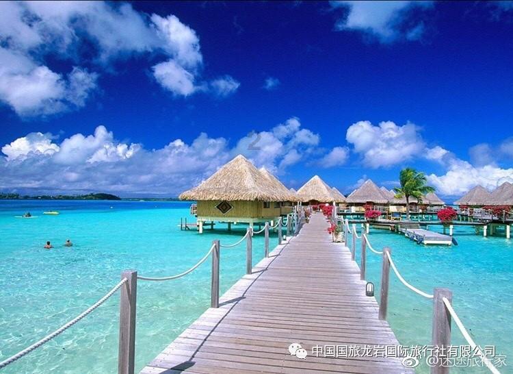 寻找丢失的钱包